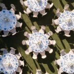 A New Perspective: The Art of Drone Photography At Your Wedding
