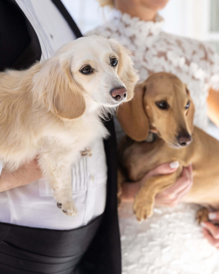 Shelby Patterson + Joe Bird Wedding