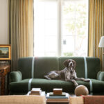 Heritage Lesson 1 from the German Shorthaired Pointer