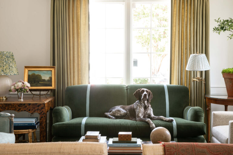 Heritage Lesson 1 from the German Shorthaired Pointer