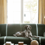 Heritage Lesson 2 from the German Shorthaired Pointer