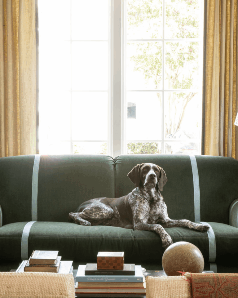 Heritage Lesson 2 from the German Shorthaired Pointer